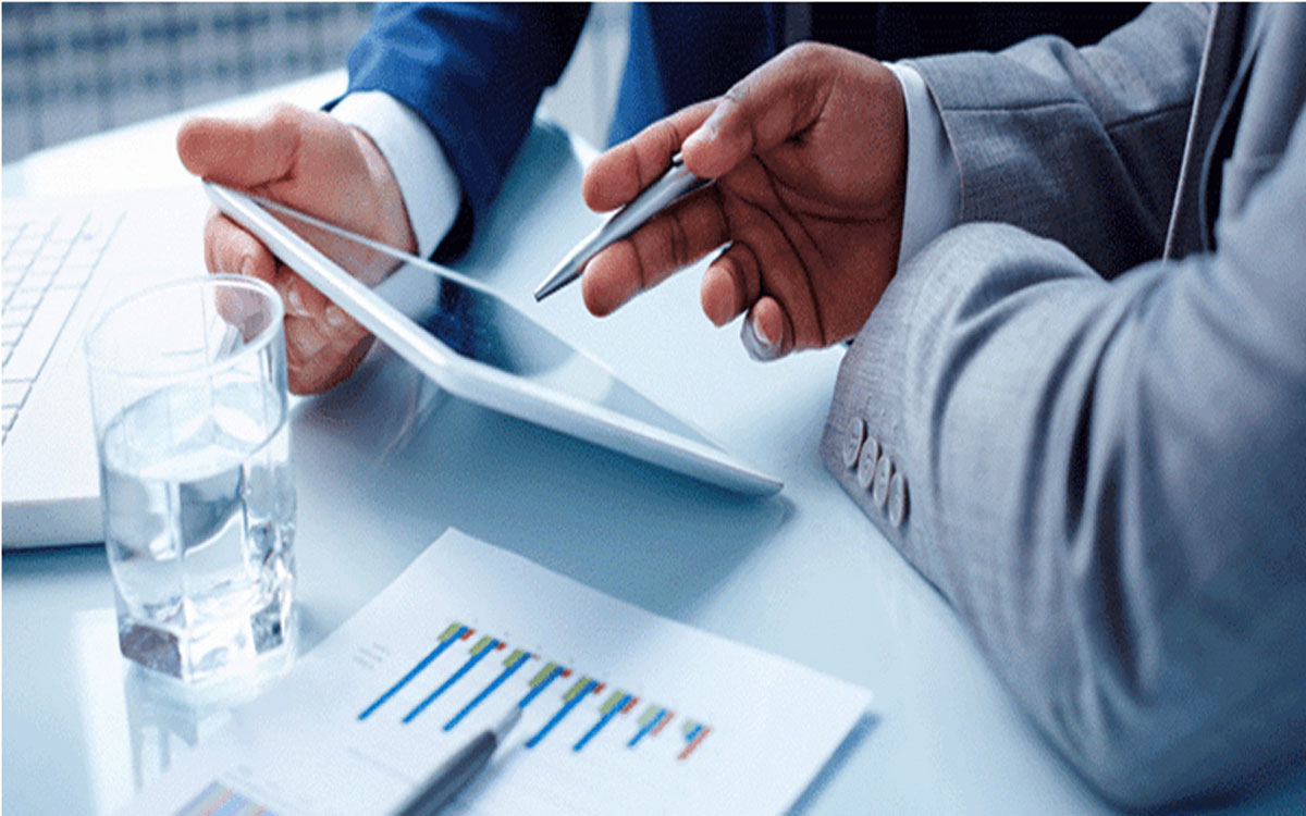 Portfolio Guidance